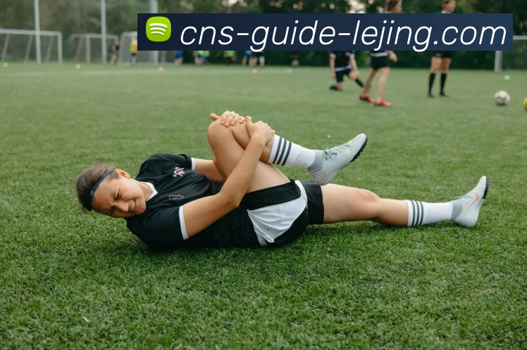 乐竞体育APP 封面图